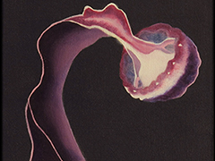 "Méduse"
oil on canvas  40cm x 20cm